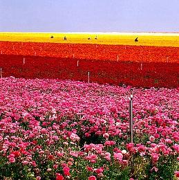 PSVR《节奏光剑》更新多人玩法 最多5人联机PK