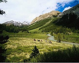 宫崎英高承诺将继续制作更好玩的游戏 玩家期待